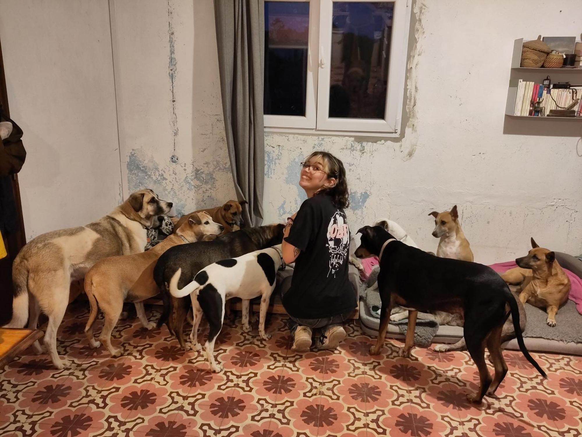 Cosy Nest In Animal Rescue Monte Dos Vagabundos Otel São Teotónio Dış mekan fotoğraf